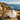 Vieira do Caminho de Santiago vista de frente